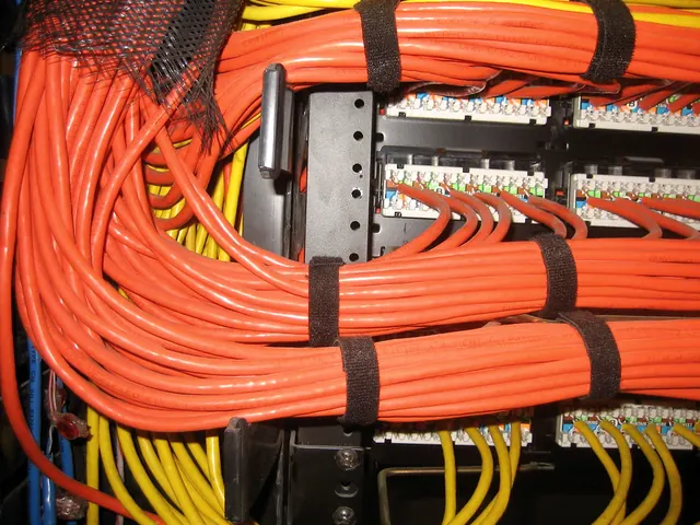 Rear of a network patch panel with bundled orange and yellow cables